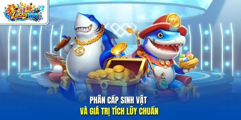 Phân cấp sinh vật và giá trị tích lũy chuẩn